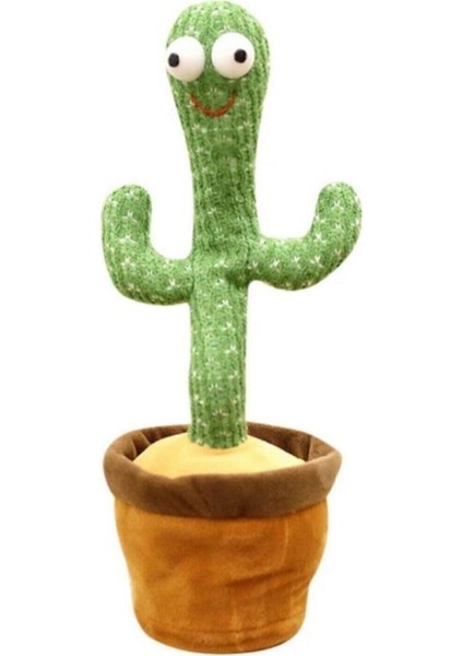 Dans Eden Kaktüs fırsatları