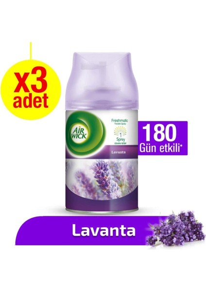 Freshmatic Yedek Lavanta 3'lü