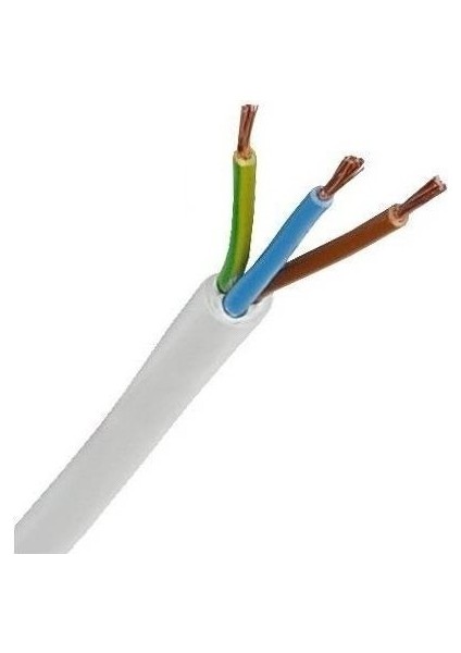 3 x 2.5 mm Ttr Beyaz Kablo Bakır 2 Metre