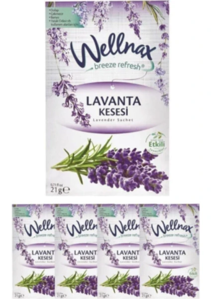 Wellnax Breeze Refresh Wellnax Lavanta Kesesi Çekmece Dolap Banyo Kokusu X5