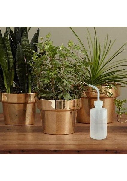 3 Paket Etli Su Şişesi 250 ml Bitki Çiçek Etli Sulama (Yurt Dışından)
