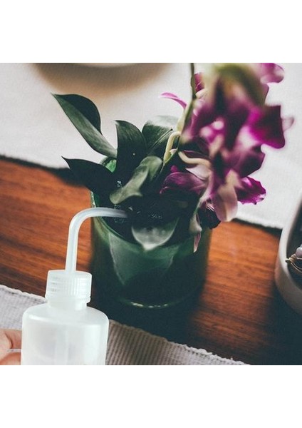 3 Paket Etli Su Şişesi 250 ml Bitki Çiçek Etli Sulama (Yurt Dışından)