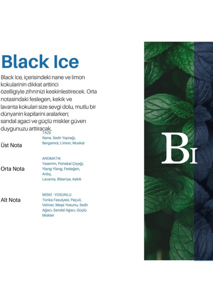 180 Ml. Maxx Pro 600 Aromatik Koku Kartuşu Black Ice Carpex Koku 180 ml Black
