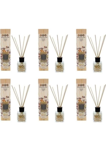 Çubuklu Oda Kokusu Pudra 100 ml 6 'lı Set