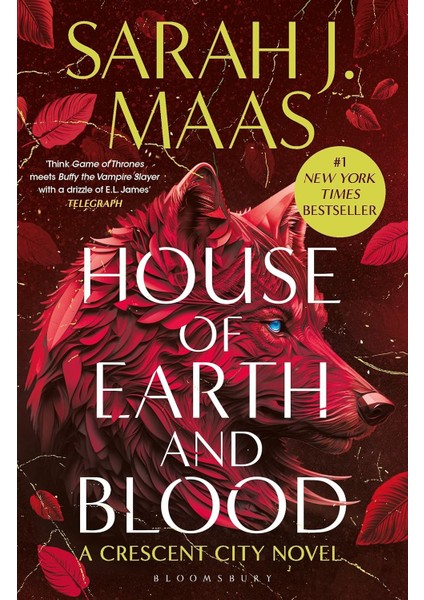 House Of Earth And Blood - Sarah J. Maas