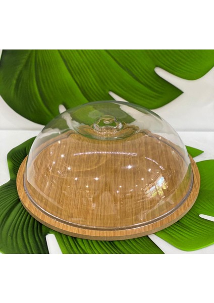 Ahşap Stand Akrilik Kap Büyük Kek Fanus (Stand 31.5/kap 30CM)