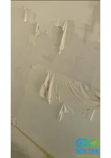 Duvar Boya Sökücü Sol Rem Ch modelleri