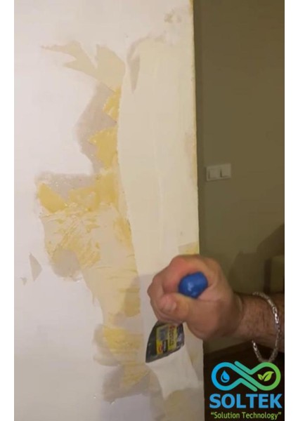 Duvar Boya Sökücü Sol Rem Ch fırsatları