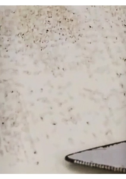 Yağlı Boya Sökücü - Sol Rem Yg 10 kg