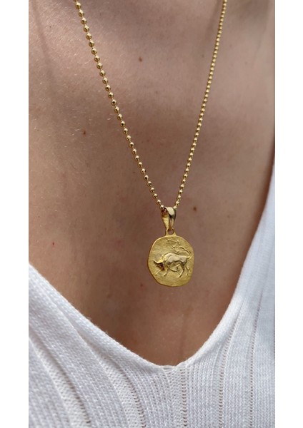 14 Ayar Altın Burç Boğa Kolye