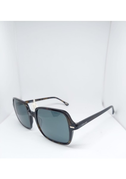 OSSE-3145-C03-53