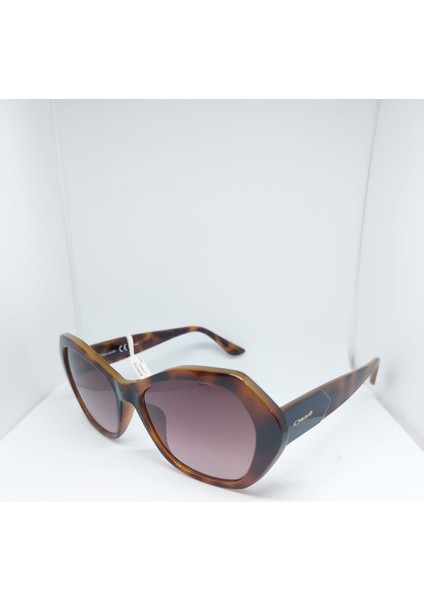 OSSE-3334-C01-57