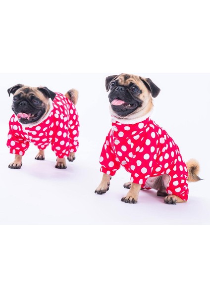 Dots Fuşya Peluşlu Su Geçirmez Küçük Irk Köpek Yağmurluk Tulum