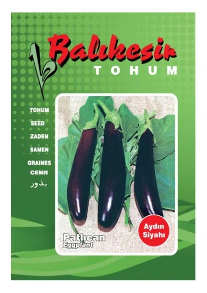 Patlıcan Tohumu Aydın Siyahi 10 Gr