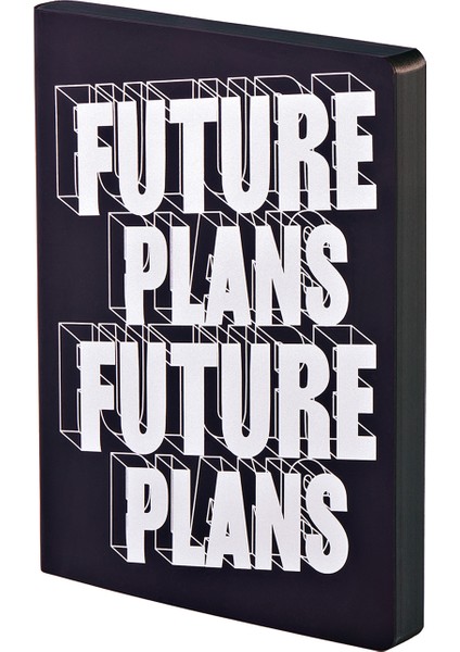 Graphic L – future Plans