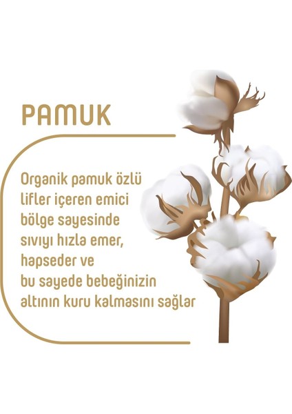 Sleepy Pure Baby Organik Bebek Bezi 2li Jumbo 5 Beden 11-20 Kg 40 Adet