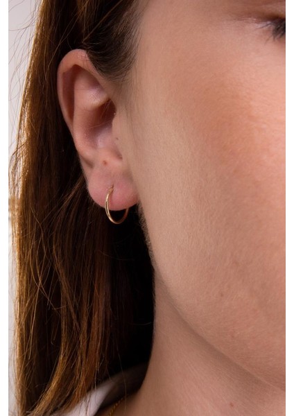 Altın Gizli Kilitli Halka Küpe fiyatları