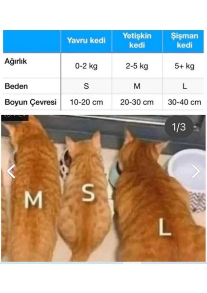 Ayarlanabilir Zincir Alüminyum Zilli Gold Lüx Kedi ve Küçük Irk Köpek Kolye Tasması