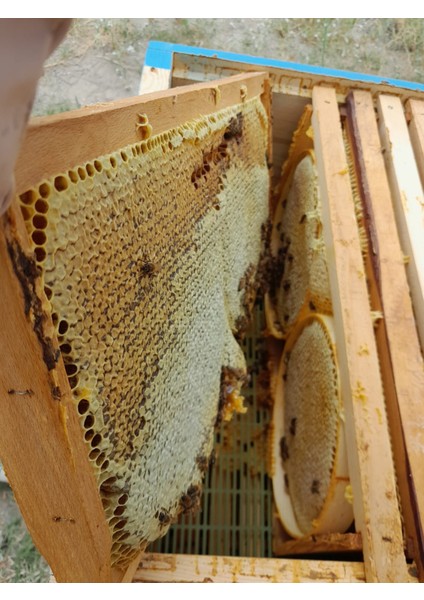 Yayla Çiçek Balı 850 gr Çorum Yöresi modelleri