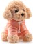 Simülasyon Mini Sevimli Köpek Peluş Oyuncak Bebek 20CM (Yurt Dışından) 1