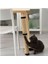 Kedi Tırmalama Aparatı, Natürel 25X63 cm 3