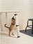 Kedi Tırmalama Aparatı, Natürel 25X63 cm 4