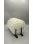 x 6 Adet Cam Desenli Cukur Tabak 22CM 2