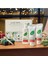 Aloe Via Acil Durum Box Set 3