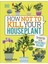 How Not To Kill Your Houseplant: Survival Tips For The Horticulturally Challenged - Veronica Peerless 1