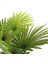 Yapay Ağaç Palmiye Ağacı 155CM Fanpalm Ağacı 12 Yaprak 4