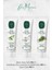 Diş Macunu Aloe Vera, Lavanta ve Çam 90 ml 1