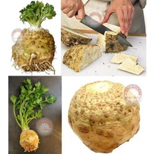 Zengarden Kök Kereviz Tohumu Giant Prague Celeriac