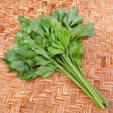 Zengarden Çorba ve Çeşni Yaprak Kereviz Tohumu Leaf Celery