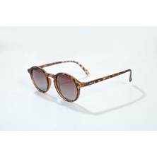 İlios Eyewear Capella Mocha Güneş Gözlüğü
