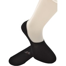 Dündar Erkek Plus Topuk Destek Silikonlu Dikişsiz Pamuk Babet Çorap