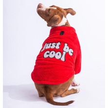 Pawstar Kırmızı Sweet Orta-Büyük Irk Köpek Pofuduk Sweatshirt