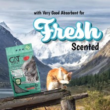 CAT EXPERT Kedi Kumu Fresh Control With Activated Carbon Topaklanan Koku Hapseden Tozsuz 8LTX 2 Adet