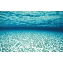 Kanki Pet KP7045028 Akvaryum Arka Fon Yapıştırma