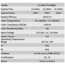 Ecolink Floodlight 100W Projektör 6500K