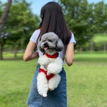 Hanyang S5 Pet Sırt Çantası Xl 6.5kg Pet Kedi Sırt Çantası Taşıyıcı Ayarlanabilir Pet Taşıma Çantası Chihuahua Pug Küçük Köpekler Için Açık Seyahat Omuz Çantaları Kesesi Sohbet Chien (Yurt Dışından)