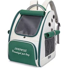 Hanyang Yeşil L 32CMX28CMX40CM Kedi Taşıma Çantaları Rüzgar Geçirmez Açık Seyahat Sırt Çantası Kedi Küçük Köpekler Için Taşıma Taşıma Çantası Kedi Sırt Çantası Taşıyıcılar Yastıklı (Yurt Dışından)