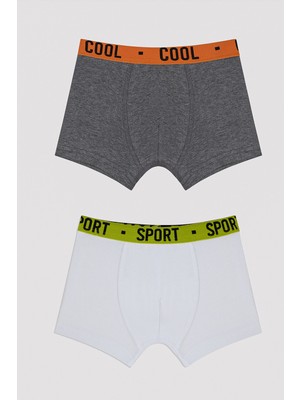 Penti Erkek Çocuk Cool Spor 2li Boxer