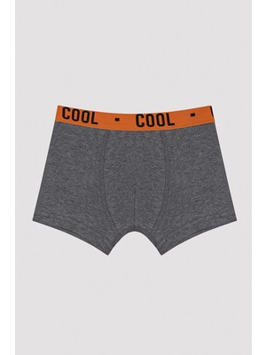 Penti Erkek Çocuk Cool Spor 2li Boxer