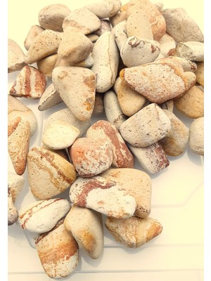 Be Beauty Turuncu Kahve Çizgili Orta Boy (30-60 Mm) Verniklenmiş Dekoratif Doğal Çakıl Taşı 2000 gr