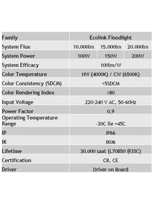 Ecolink Floodlight 100W Projektör 6500K