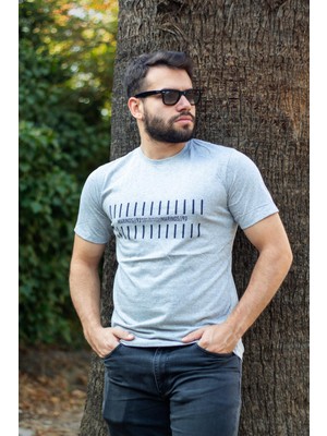Azıcık Akıllı Erkek Gri Çizgi Baskılı Normal Kesim Bisiklet Yaka Erkek Tişört 22ETSHMROS