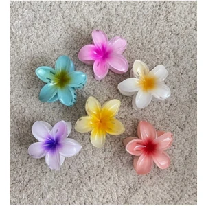 AG Accessories Lotus Aloha Büyük Boy 8 cm Mandal Toka Rengarenk 6'lı
