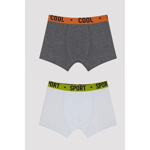 Erkek Çocuk Cool Spor 2li Boxer