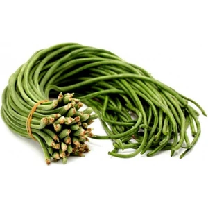 Kuşkonmaz Fasulyesi Tohumu Asparagus Bean