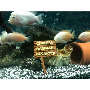 Akvaryum Dekoru - Çimlere Basmak Yasaktır Yazısı